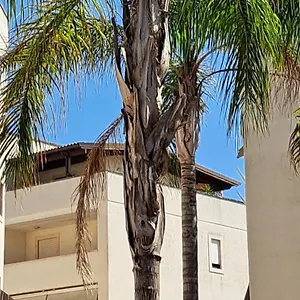 Un Di Casa Appartamento