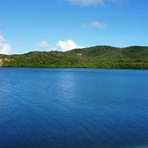 Alpinia , Sainte-Anne Martinique